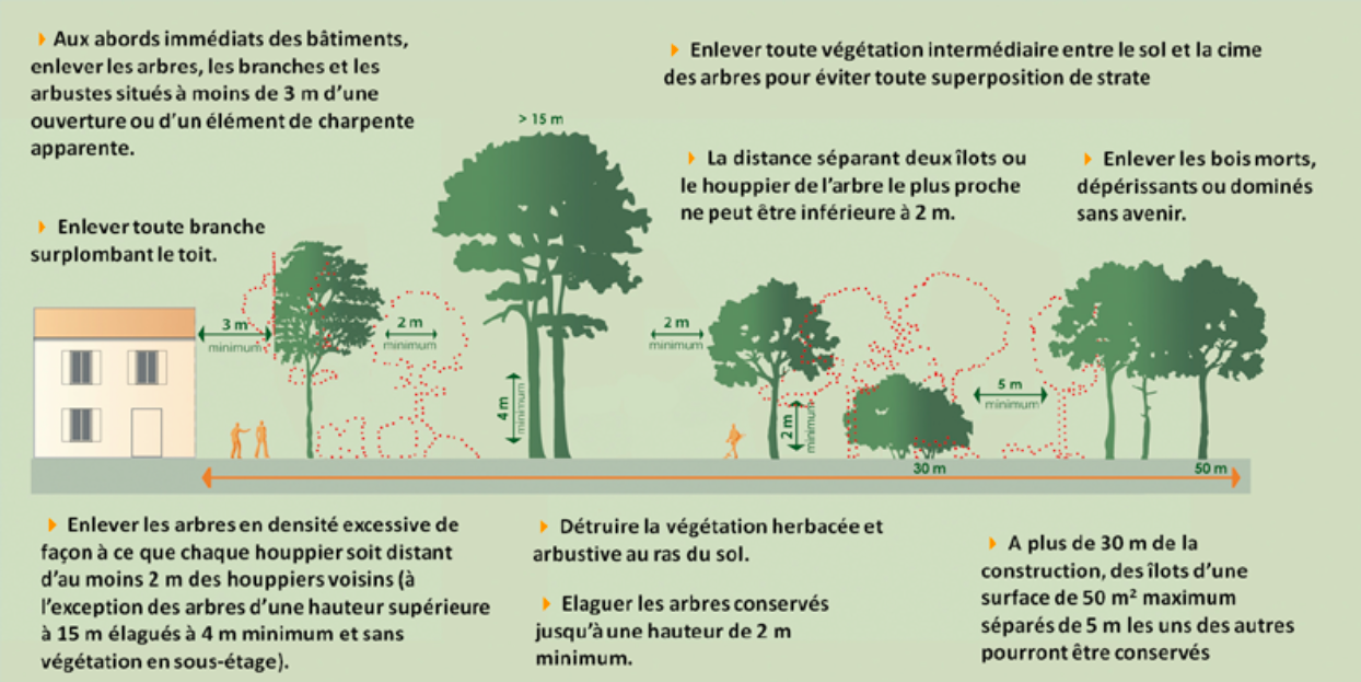 Obligation de débroussailler